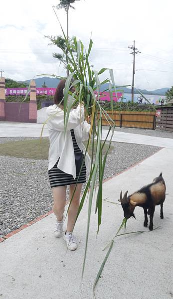 長埤湖精靈村