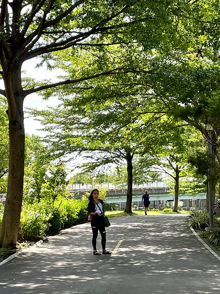 樹林環保河濱公園