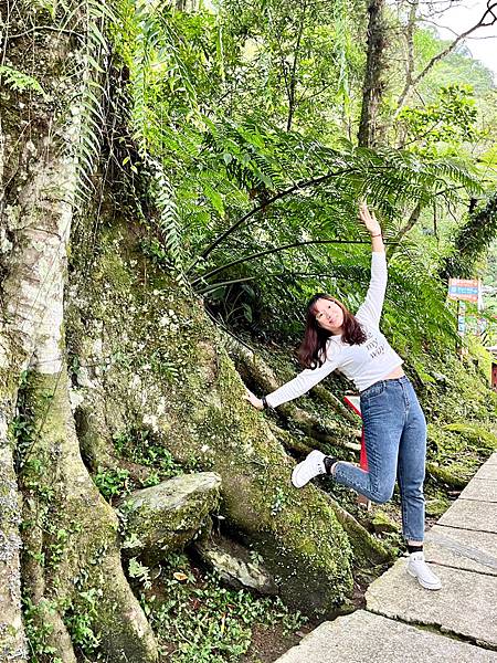 雲仙樂園