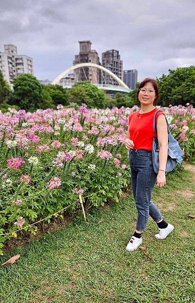 古亭河濱公園花海