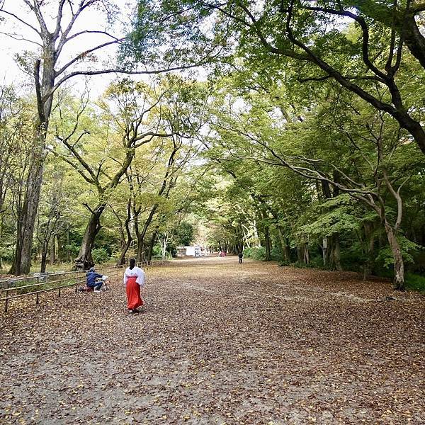 河和合神社(女人、女孩必拜，祈求美麗的神社)、下鴨神社、貴船神社