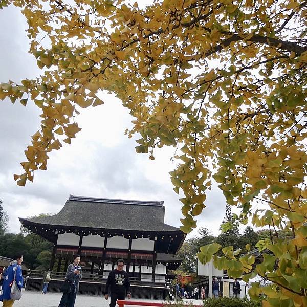 河和合神社(女人、女孩必拜，祈求美麗的神社)、下鴨神社、貴船神社