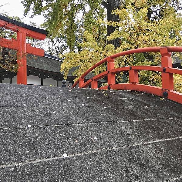 河和合神社(女人、女孩必拜，祈求美麗的神社)、下鴨神社、貴船神社