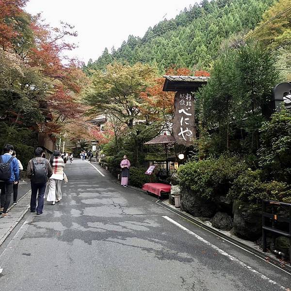 河和合神社(女人、女孩必拜，祈求美麗的神社)、下鴨神社、貴船神社