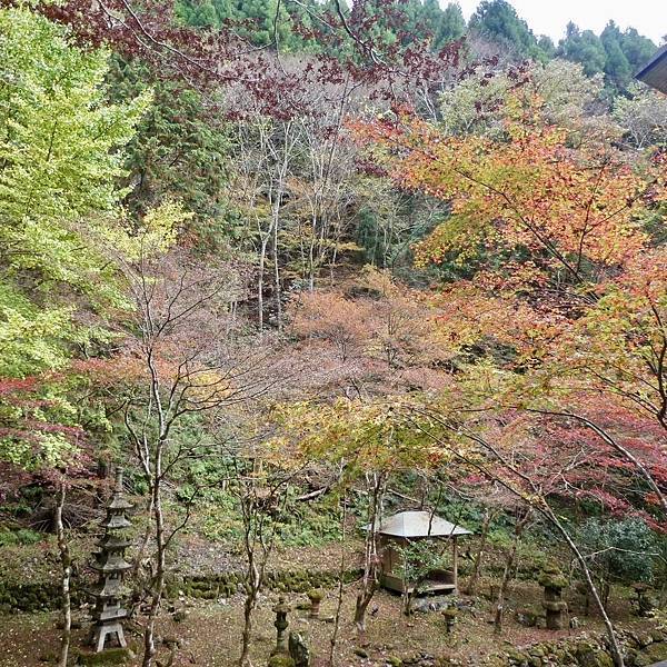 河和合神社(女人、女孩必拜，祈求美麗的神社)、下鴨神社、貴船神社