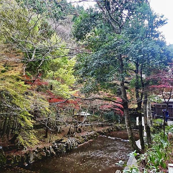 河和合神社(女人、女孩必拜，祈求美麗的神社)、下鴨神社、貴船神社