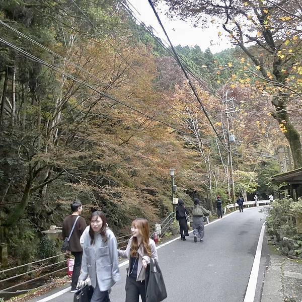 河和合神社(女人、女孩必拜，祈求美麗的神社)、下鴨神社、貴船神社