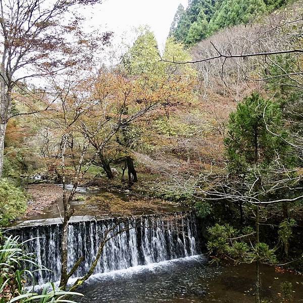 河和合神社(女人、女孩必拜，祈求美麗的神社)、下鴨神社、貴船神社