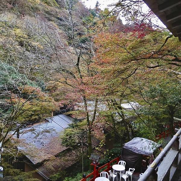 河和合神社(女人、女孩必拜，祈求美麗的神社)、下鴨神社、貴船神社