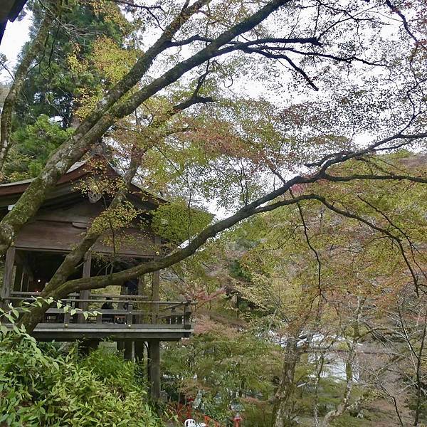 河和合神社(女人、女孩必拜，祈求美麗的神社)、下鴨神社、貴船神社