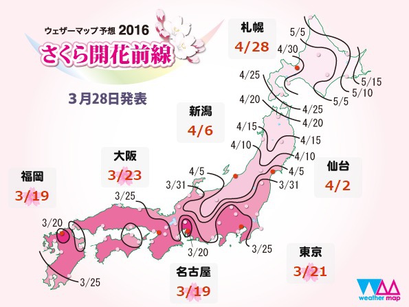 2016櫻花最前線.jpg