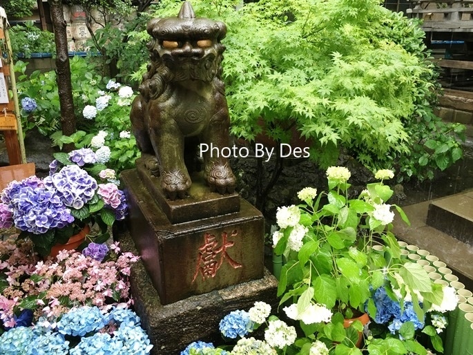 WGFlower_01.JPG WGFlower_01.JPG