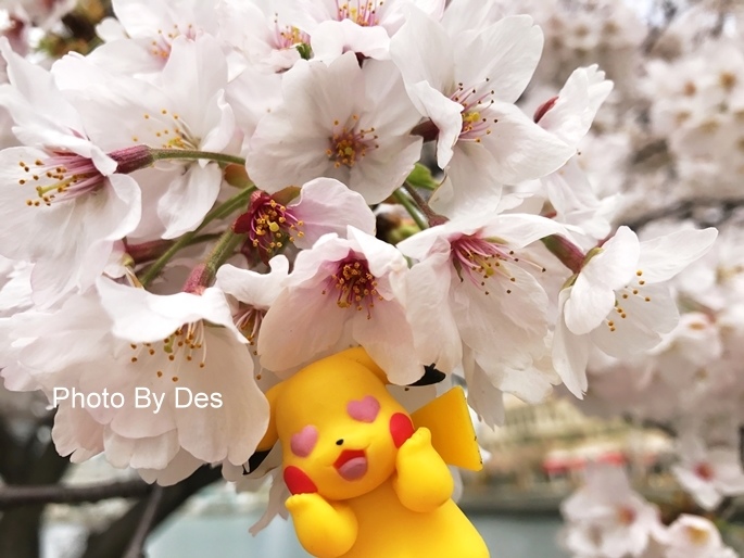 Yokohama_01.JPG Yokohama_01.JPG