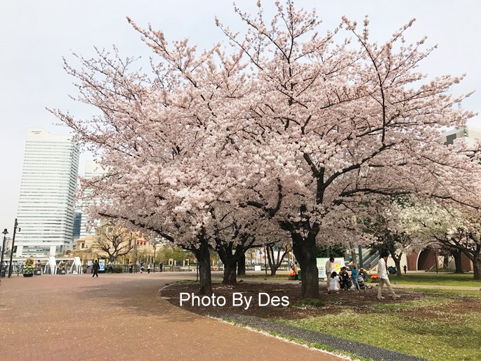 Yokohama_05.JPG