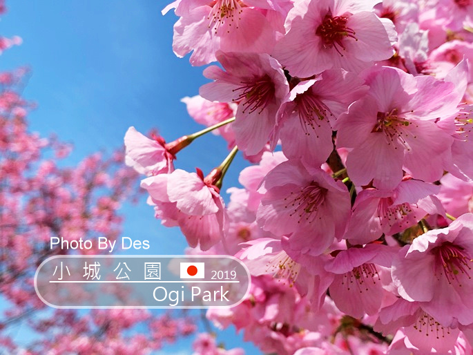 BG05.jpg BG05.jpg