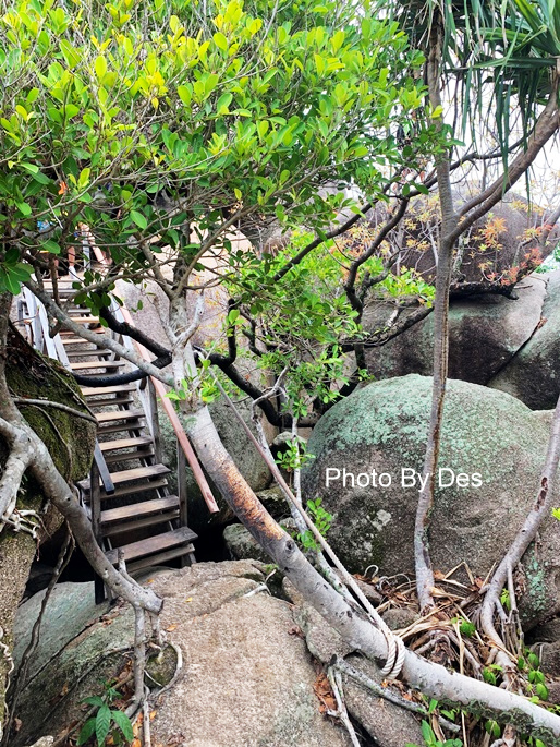 similan_36.JPG