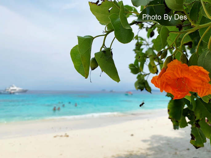 similan_68.JPG