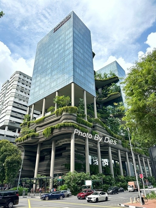 CapitSpring_01.JPG CapitSpring_01.JPG