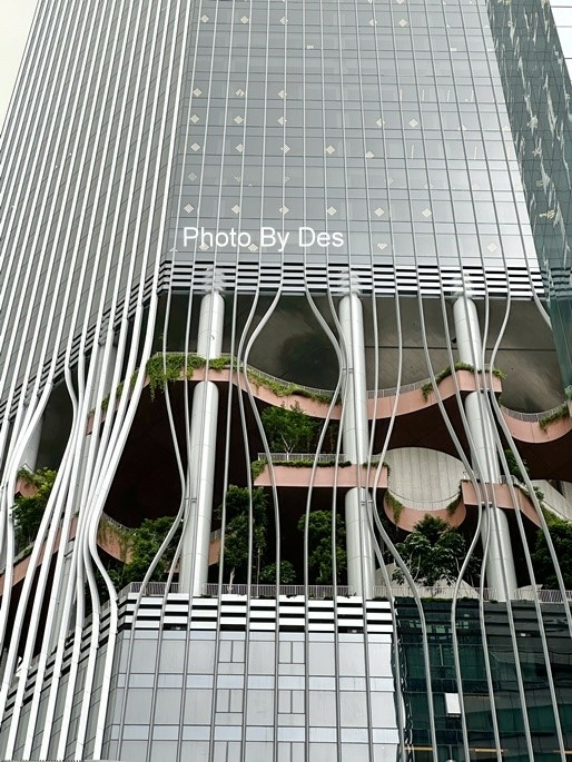 CapitSpring_05.JPG CapitSpring_05.JPG