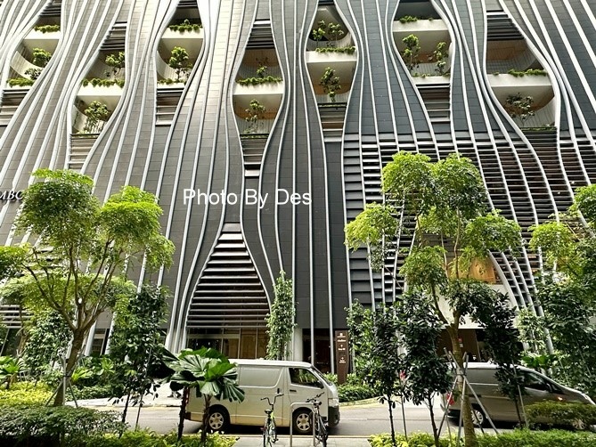 CapitSpring_06.JPG CapitSpring_06.JPG