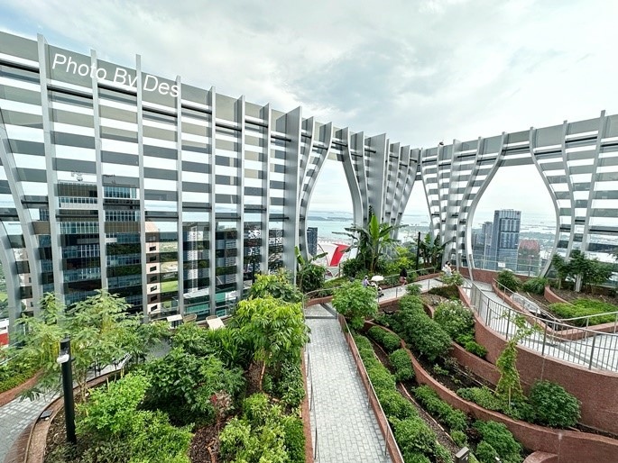 CapitSpring_12.JPG CapitSpring_12.JPG