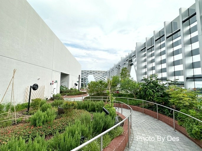 CapitSpring_14.JPG CapitSpring_14.JPG