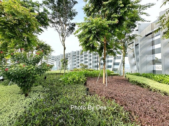 CapitSpring_15.JPG CapitSpring_15.JPG