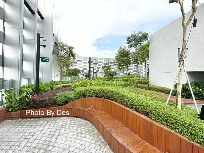 CapitSpring_19.JPG CapitSpring_19.JPG