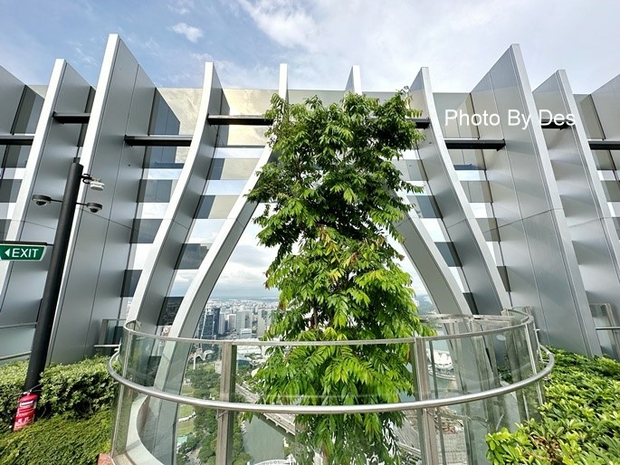 CapitSpring_26.JPG CapitSpring_26.JPG