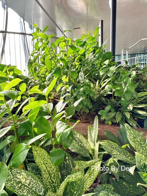 CapitSpring_34.JPG CapitSpring_34.JPG