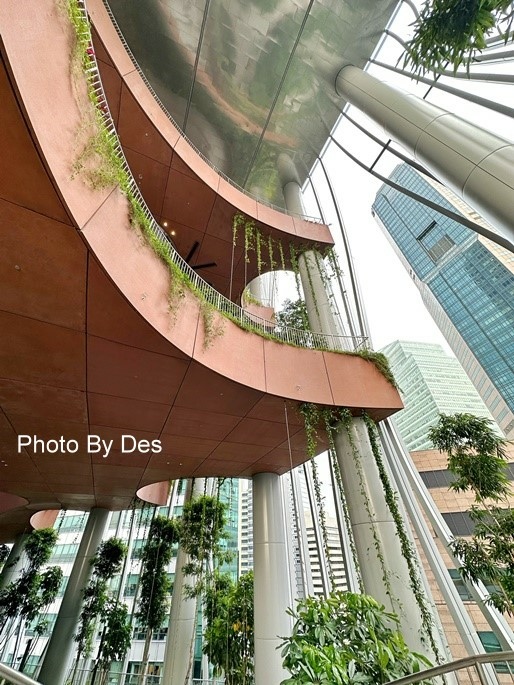 CapitSpring_40.JPG CapitSpring_40.JPG