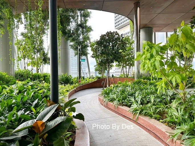 CapitSpring_41.JPG CapitSpring_41.JPG