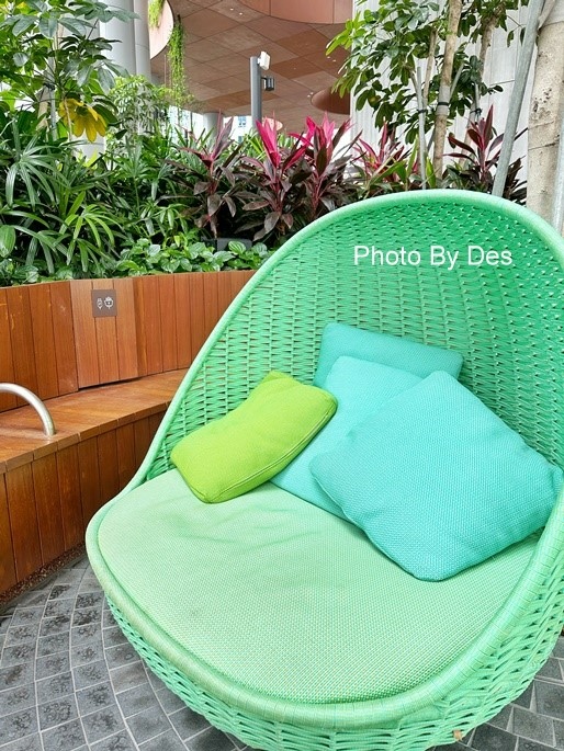 CapitSpring_45.JPG CapitSpring_45.JPG