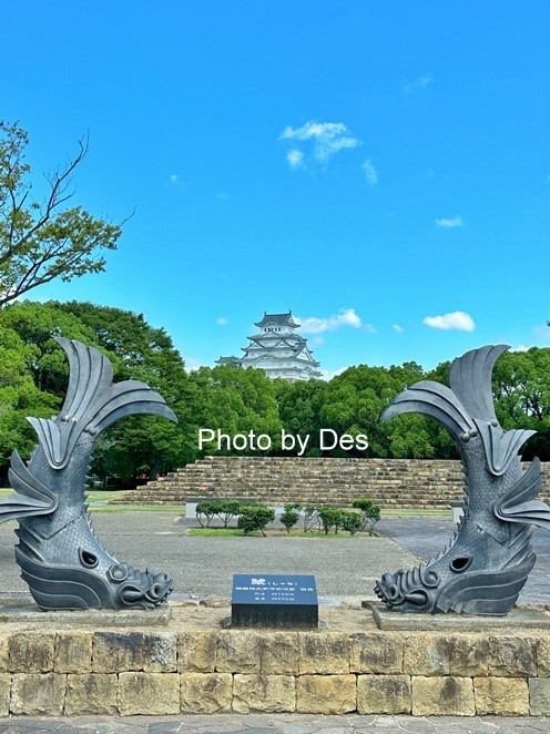 Egret Himeji_25.JPG