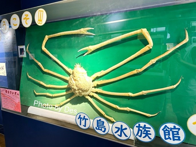 【遊記】日本．名古屋／蒲郡．近郊蒲郡半日遊(竹島水族館、八百