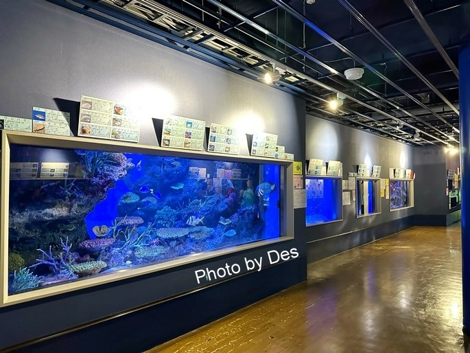 【遊記】日本．名古屋／蒲郡．近郊蒲郡半日遊(竹島水族館、八百