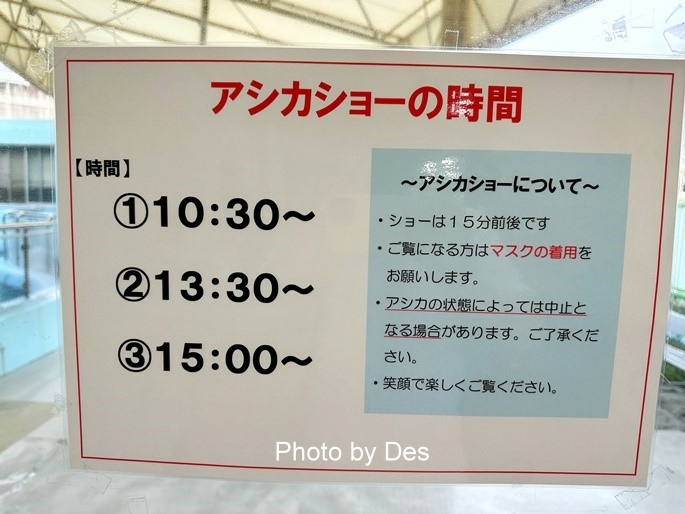 【遊記】日本．名古屋／蒲郡．近郊蒲郡半日遊(竹島水族館、八百