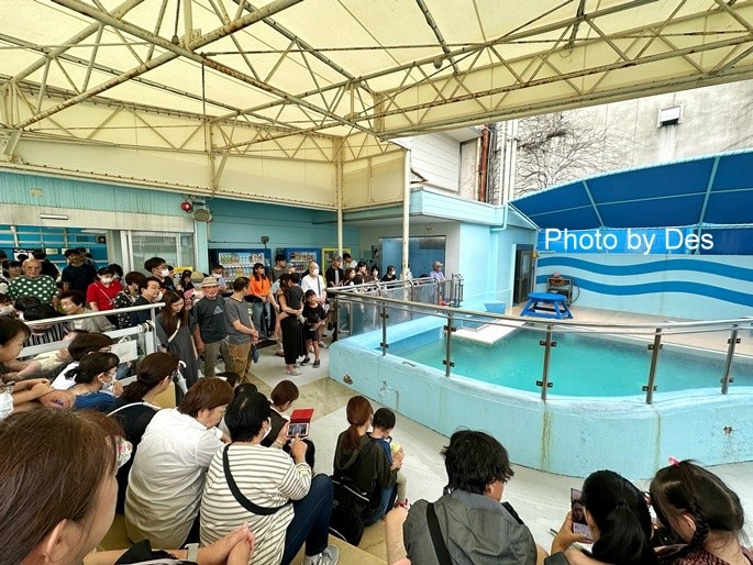 【遊記】日本．名古屋／蒲郡．近郊蒲郡半日遊(竹島水族館、八百