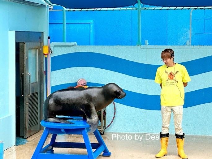 【遊記】日本．名古屋／蒲郡．近郊蒲郡半日遊(竹島水族館、八百