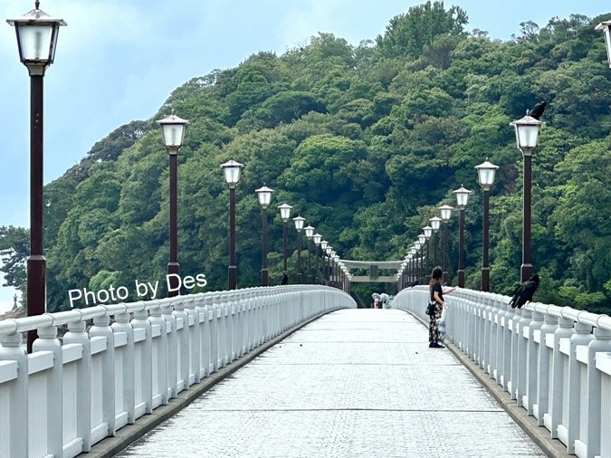 【遊記】日本．名古屋／蒲郡．近郊蒲郡半日遊(竹島水族館、八百