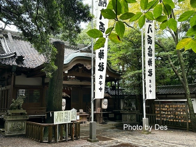 【遊記】日本．名古屋／蒲郡．近郊蒲郡半日遊(竹島水族館、八百