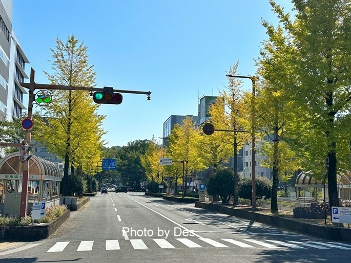 【遊記】日本．高知．木曜市(高知城下町縣廳前街路上的定期星期