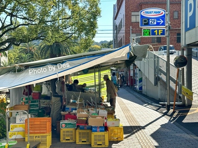 【遊記】日本．高知．木曜市(高知城下町縣廳前街路上的定期星期