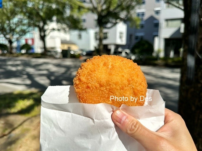 【遊記】日本．高知．木曜市(高知城下町縣廳前街路上的定期星期