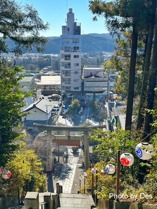 【遊記】日本．東京｜青梅．青梅達摩市集(每年年度盛會街道封街