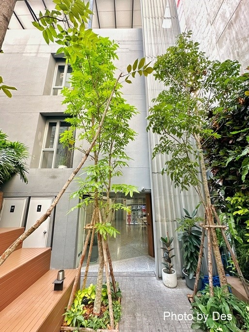 【宿記】泰國．曼谷．Tiang Studio Hostel(