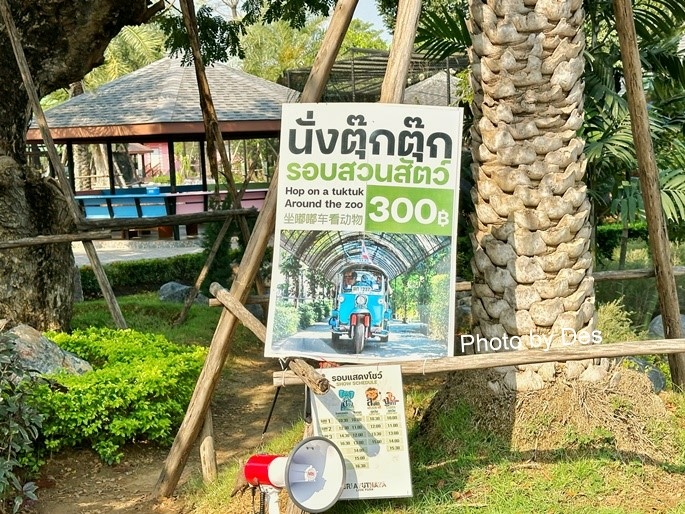 【遊記】泰國．大城．大城獅子動物園(體驗泰國最夯與動物合照親