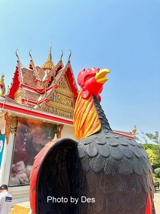 【遊記】泰國．大城．自助大城包車一日遊(大城獅子動物園｜龍婆