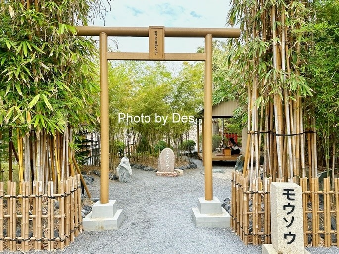 【遊記】泰國．大城．自助大城包車一日遊(大城獅子動物園｜龍婆