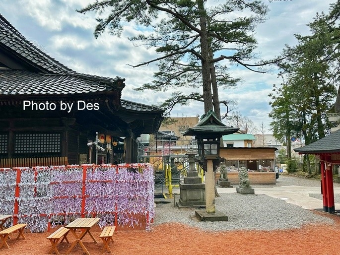 【遊記】日本．金澤．石浦神社(人氣神社充滿色彩繽紛超可愛水玉